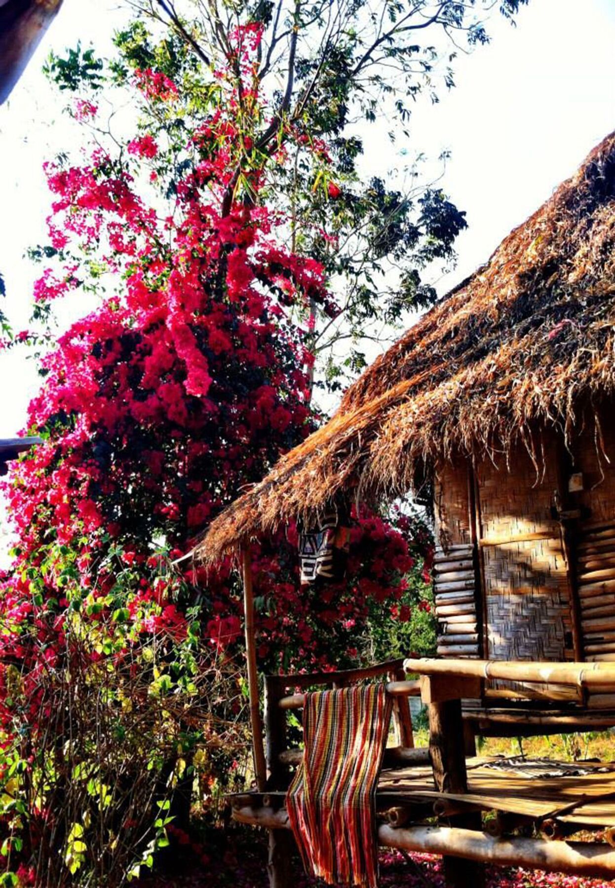 Giant House Riverside Pai Extérieur photo